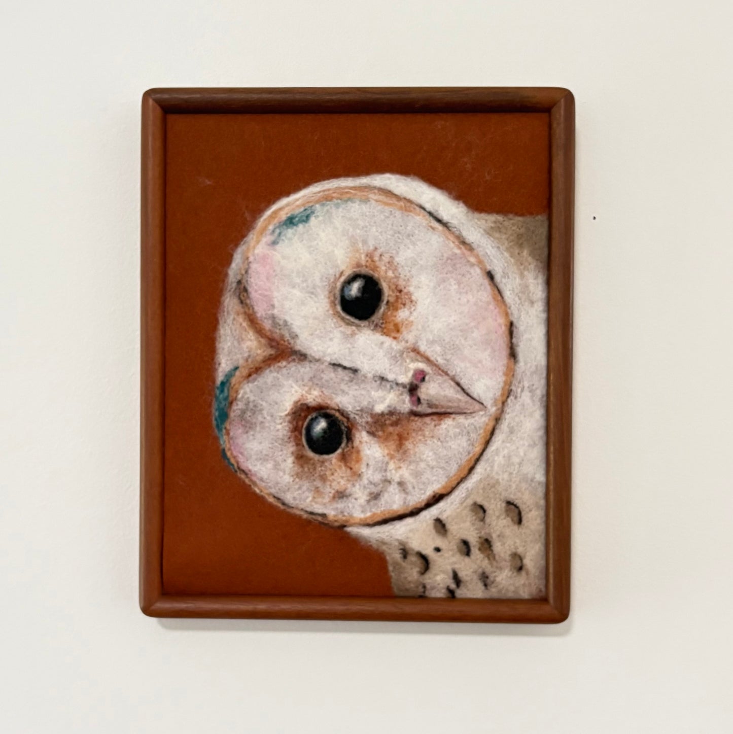 Barn Owl